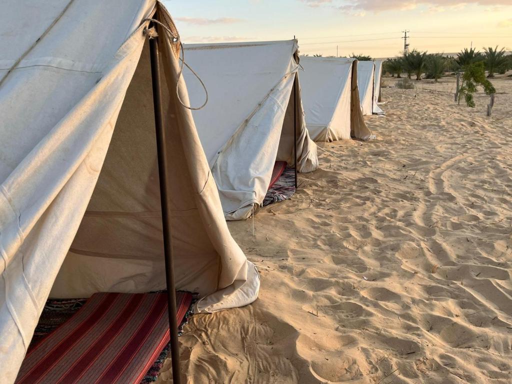 بدوين كامب Badween Camp