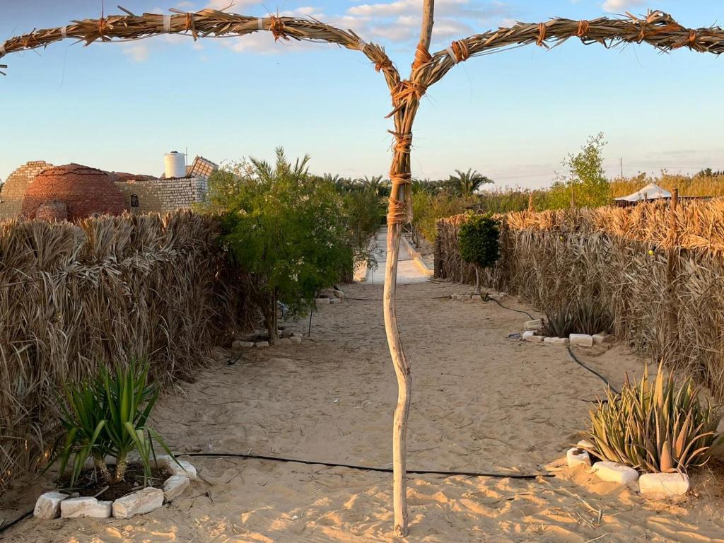 بدوين كامب Badween Camp photo 2