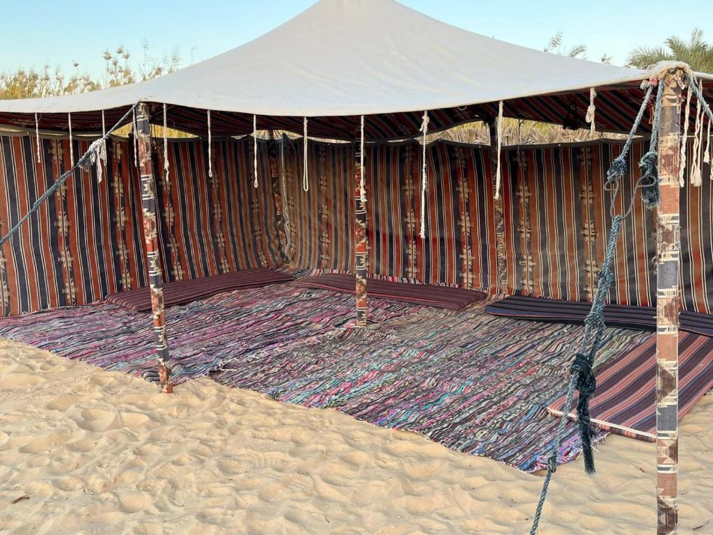 بدوين كامب Badween Camp photo 3