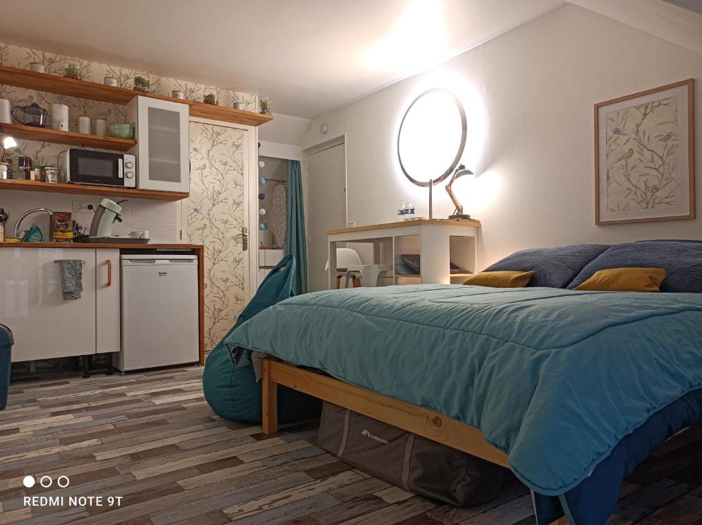 Magnifique Studio Climatisation Wifi Tout confort, vélos en option, Centre ville Parking privé Jardin photo 3