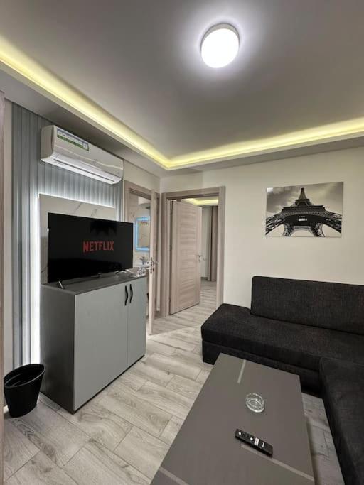 privet (37)near downtown kh&sh