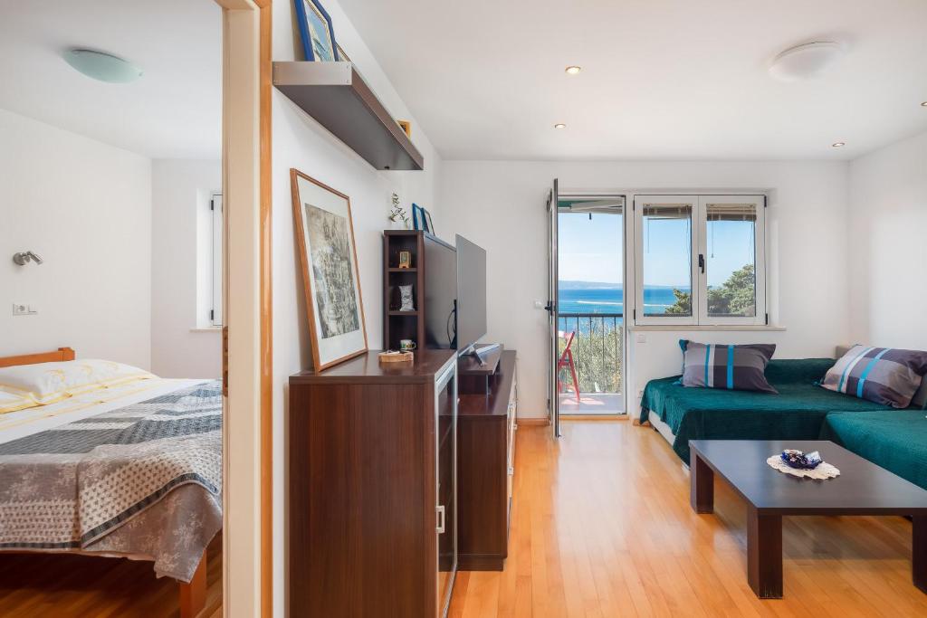 Sunny Vista Apartment