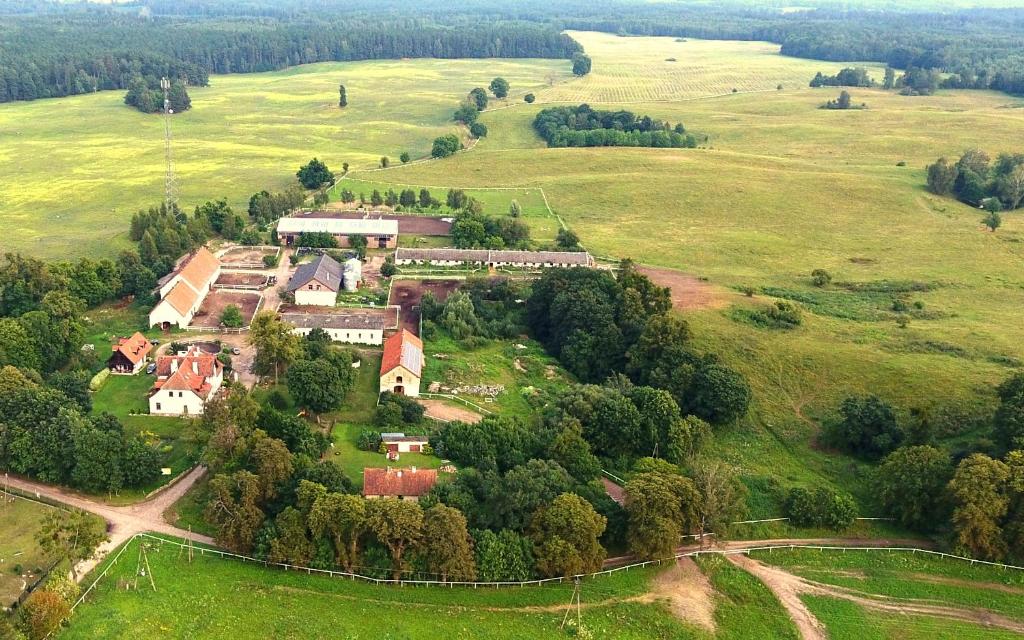 Stadnina Koni Kierzbuń photo 3