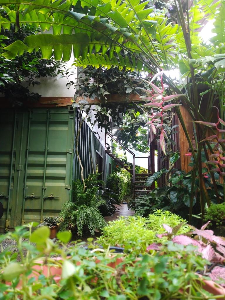 Osa de Rio photo 3
