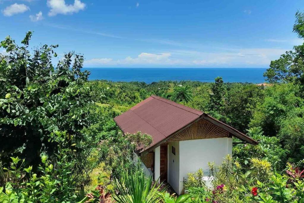 Kingfisher Garden Homestay 2