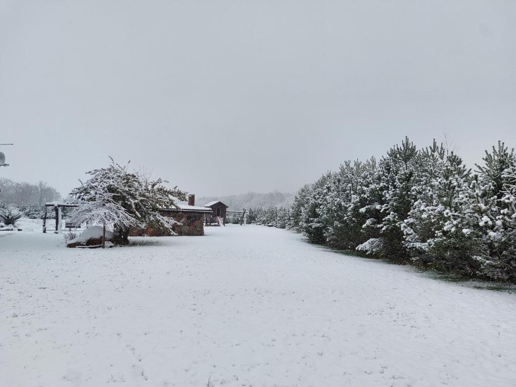 Kukoriškių sodyba photo 2