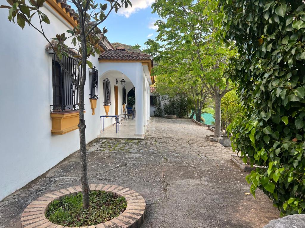 Casa Lirios photo 2