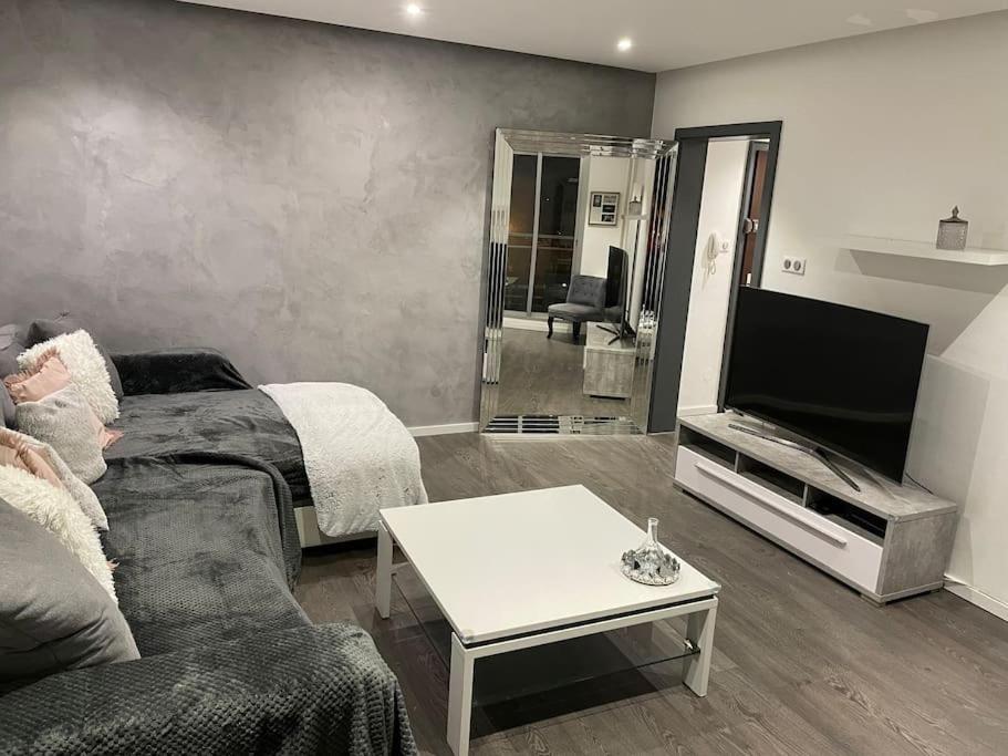 Appartement Cosy Strasbourg