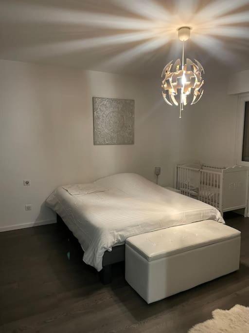 Appartement Cosy Strasbourg photo 4