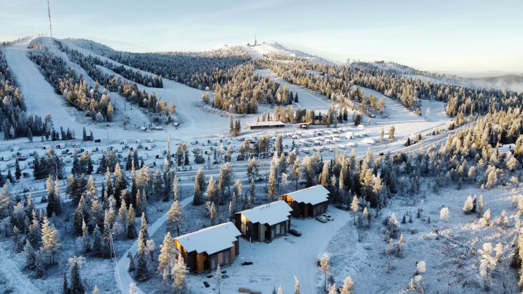Holiday homes Ruka photo 1