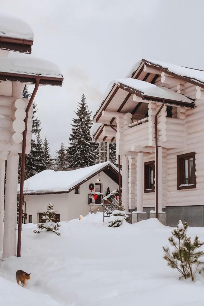 GOOD DAYS Shale Resort 4 км до Буковеля photo 3