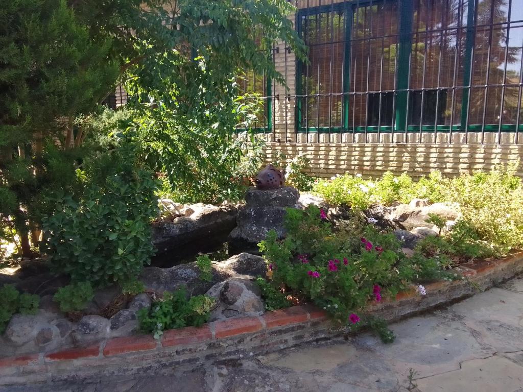 Alojamiento Rural El Campito photo 2