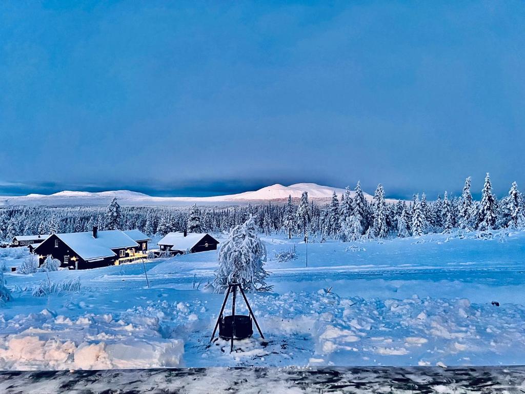 Hytte Trysil SPA photo 3