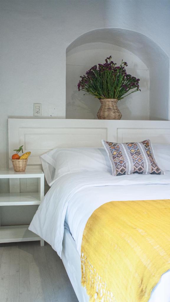 Noma Bed & Breakfast photo 2