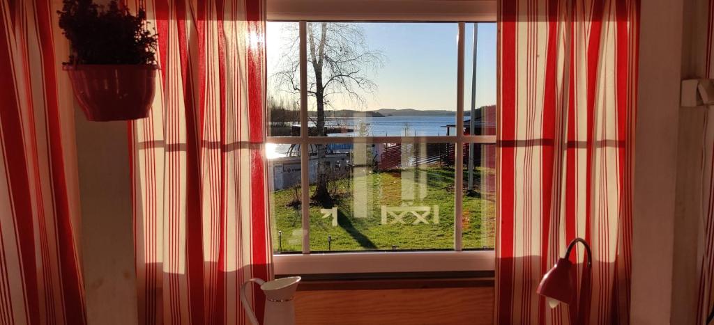 Uusi Saunamökki Jämsässä, lähellä Himosta photo 2