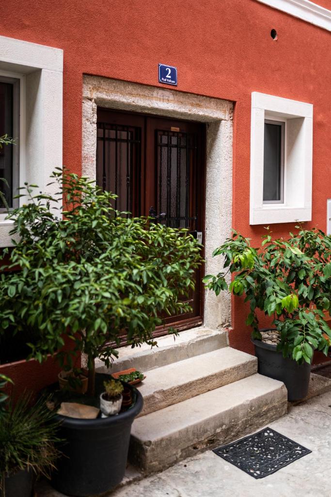 Guesthouse Riba photo 2