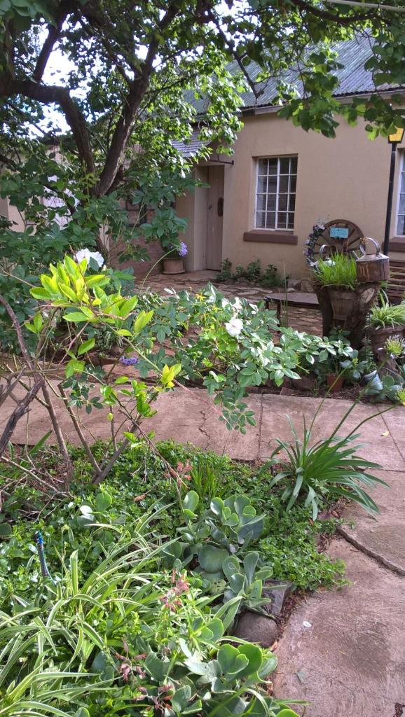 Selah guest cottage...place to pause, breath relax photo 2