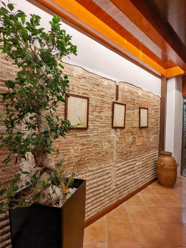 Catalina Suites photo 1