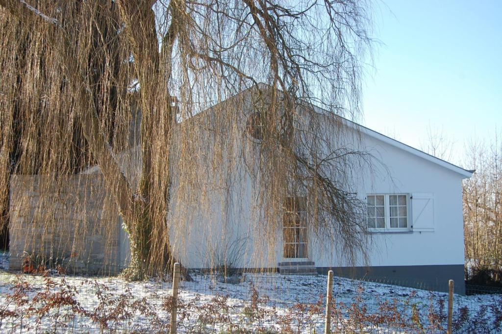 Sous le Saule Holiday Home photo 2