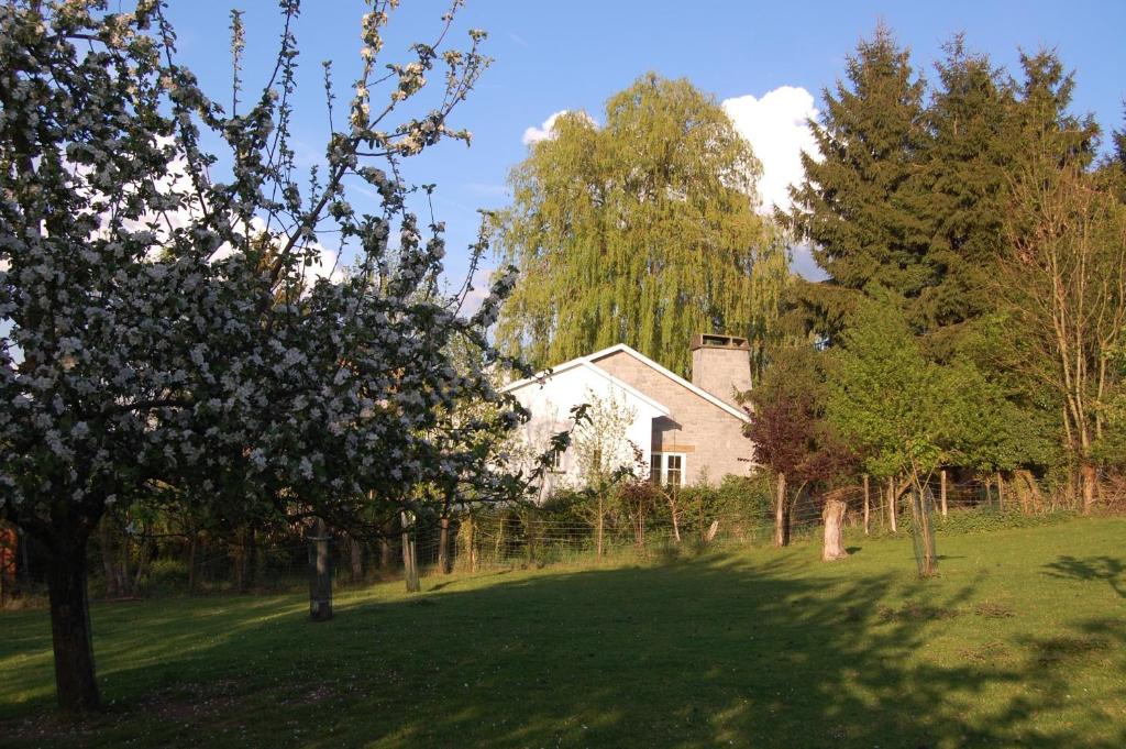 Sous le Saule Holiday Home photo 1