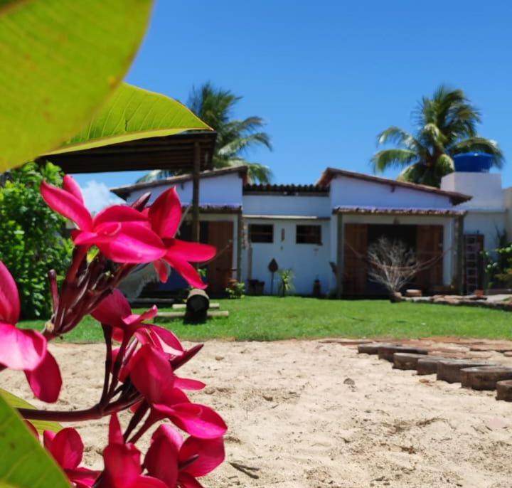 Casa Tatuí photo 1