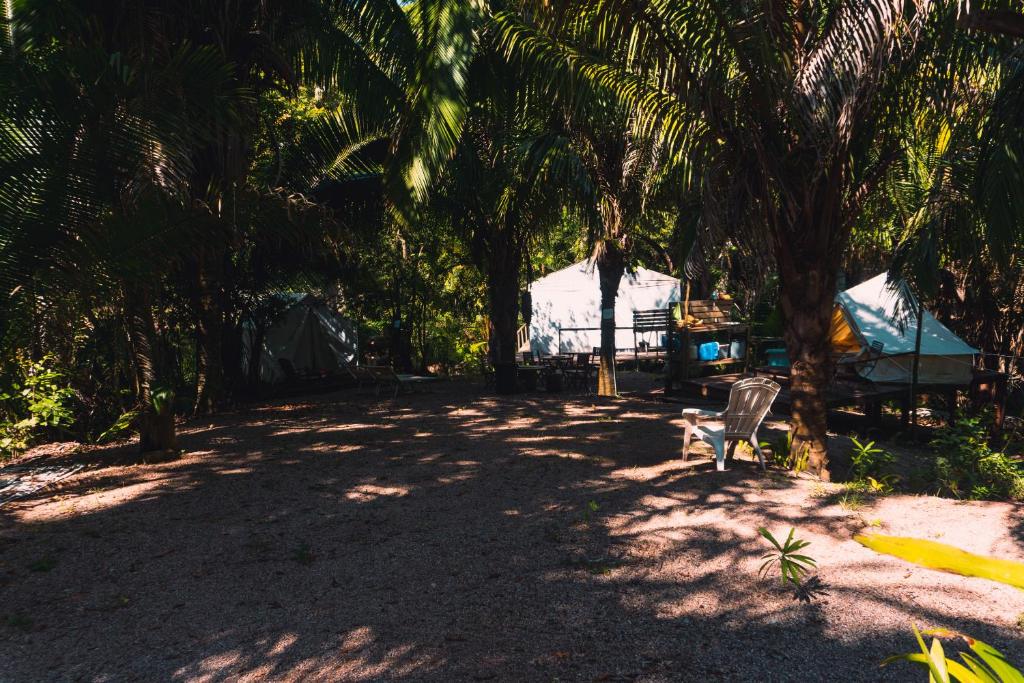Glamping El Sendero photo 4