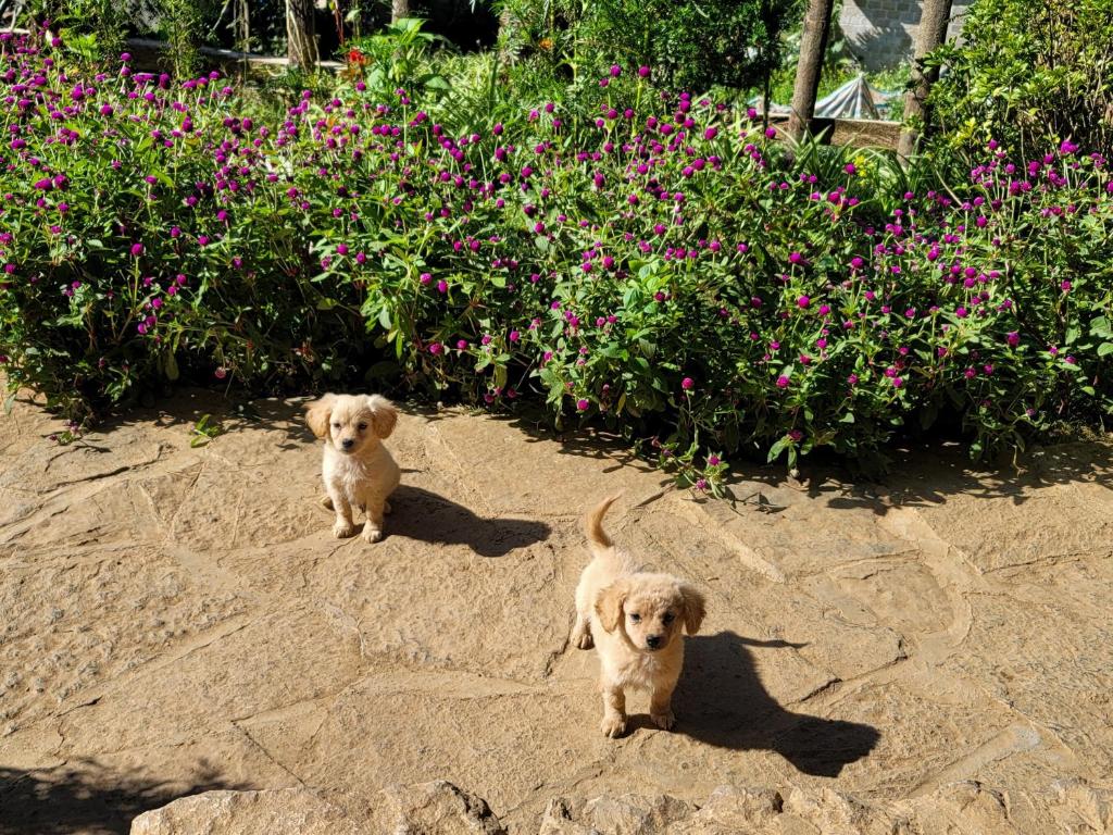 DONG VAN CLIFFSIDE HOUSE