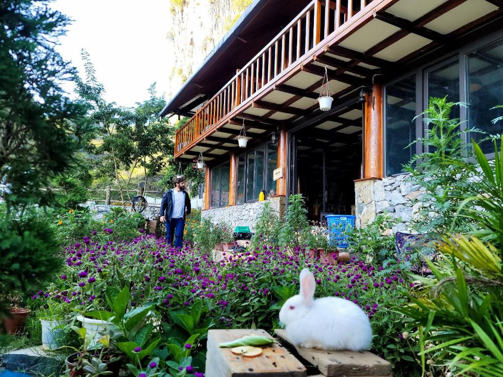 DONG VAN CLIFFSIDE HOUSE