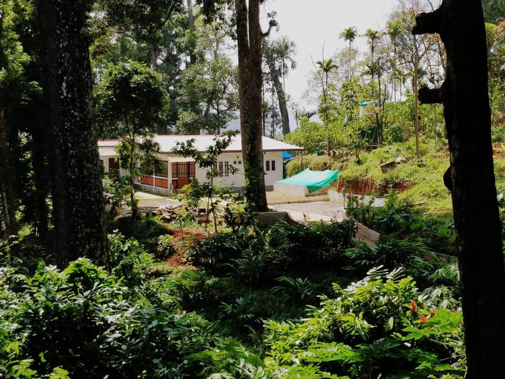 Jacobs farm stay munnar
