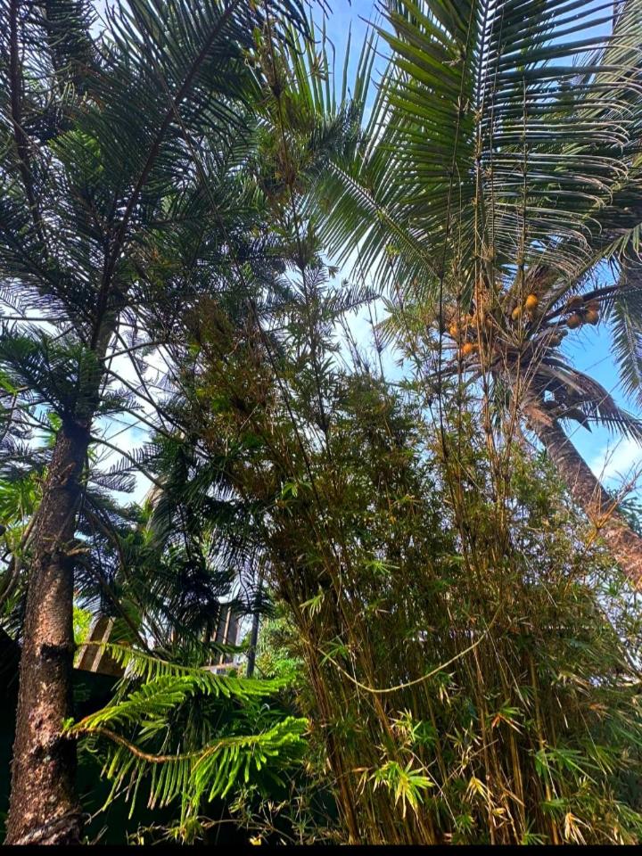 Royal beach villa photo 4