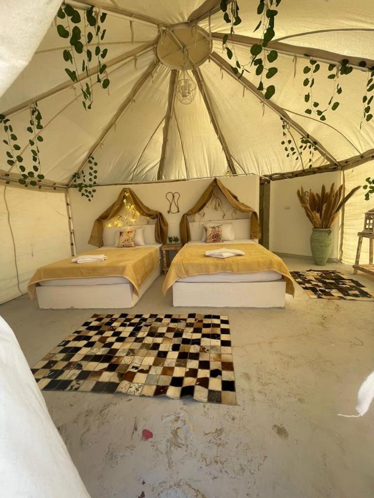 Shahrazad Camp in white desert, Egypt photo 4