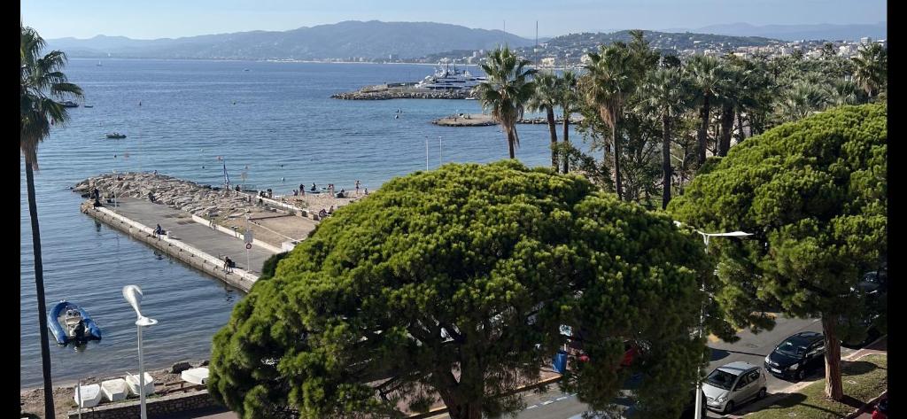 Palm croisette front de mer1 photo 2