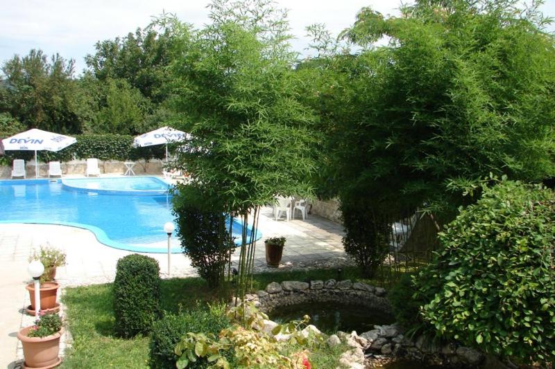 Hotel Ankor photo 2