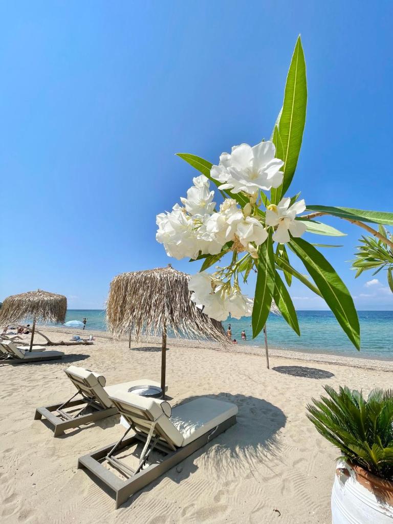 Byblos Mare-The Exclusive Beach Front Villa photo 3