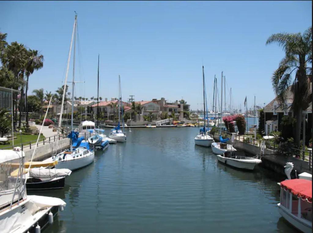 Beautiful 2 Story Right by the Water, Ocean View photo 4