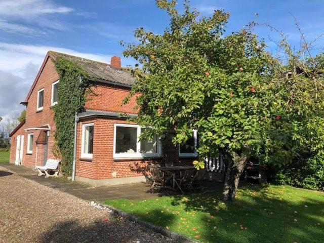 Ferienhaus-Wiesenblick photo 1