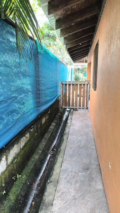 Casita Olivia photo 4