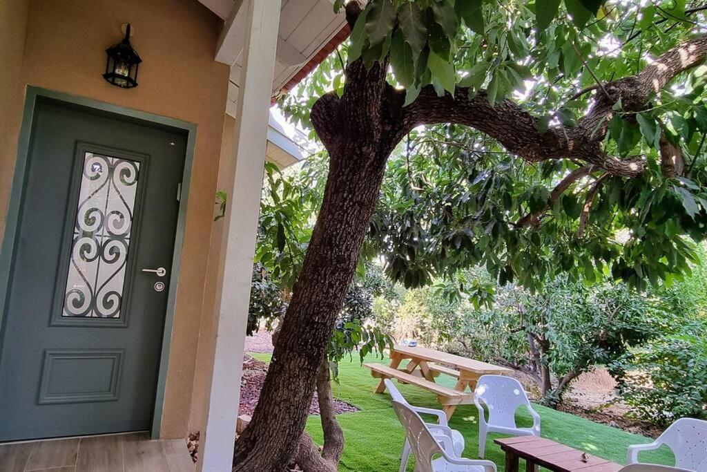 השיטה 5 photo 4