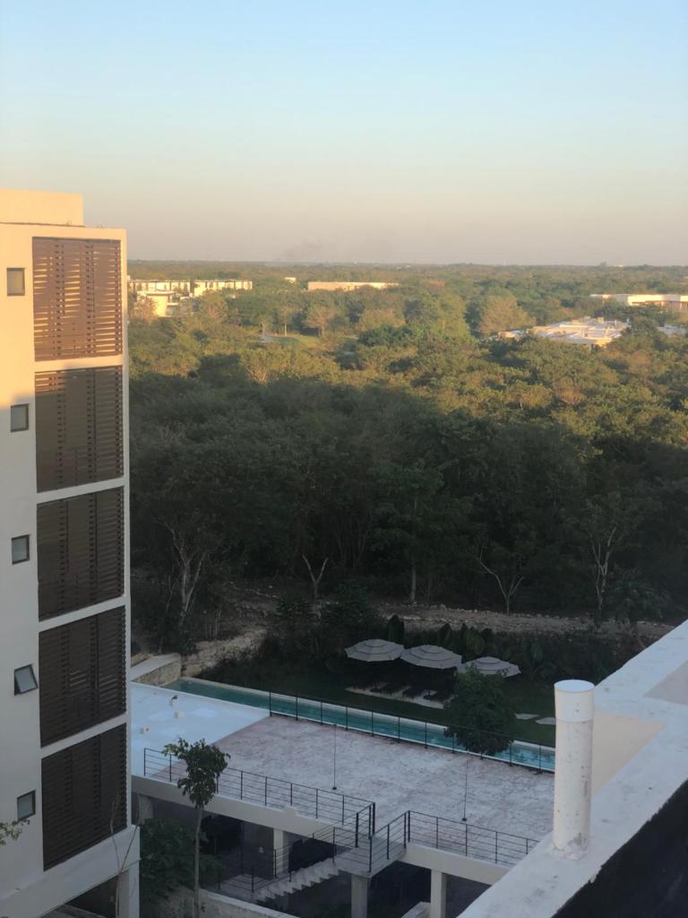 Departamento de lujo Cabo Norte photo 3
