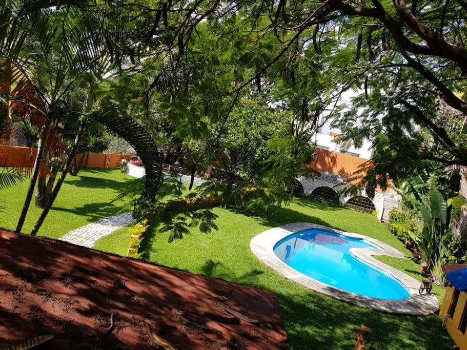 Residencia paraíso photo 4