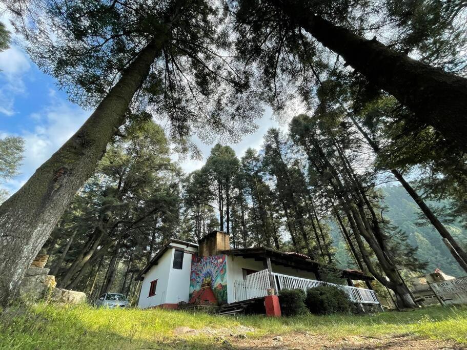 Cabaña Minda