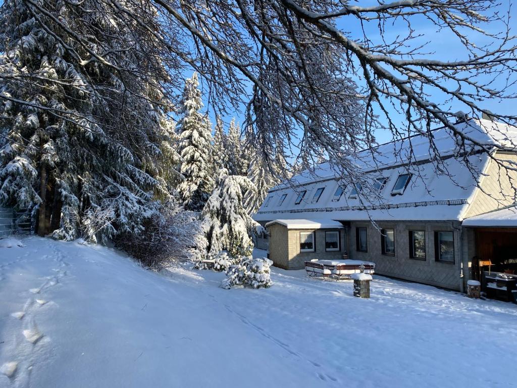 Ferienhaus Vier Jahreszeiten photo 4