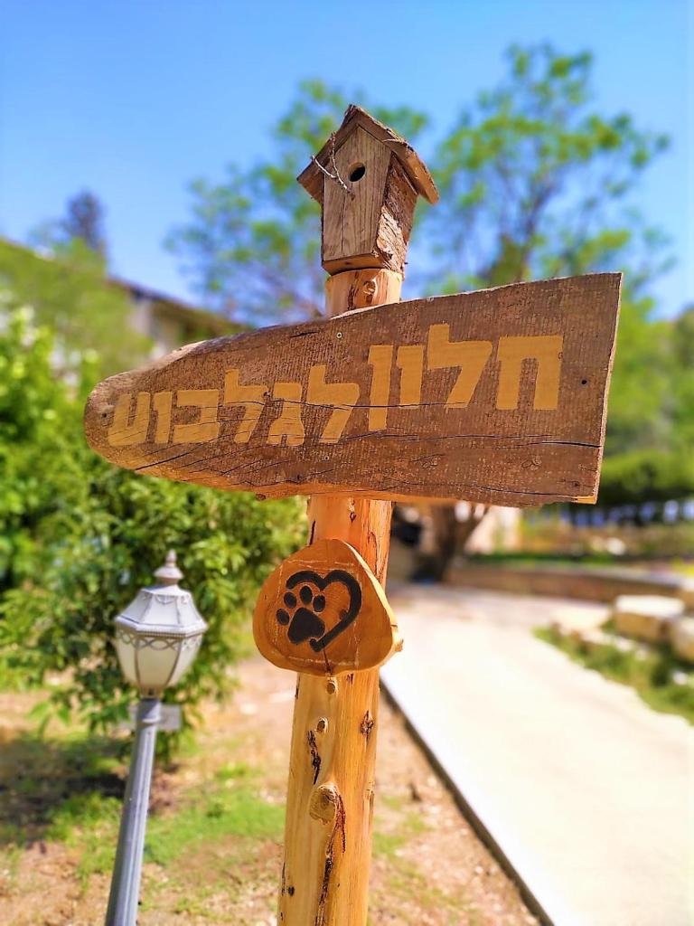 חלון לגלבוע צימר בוטיק בעמק המעיינות photo 1
