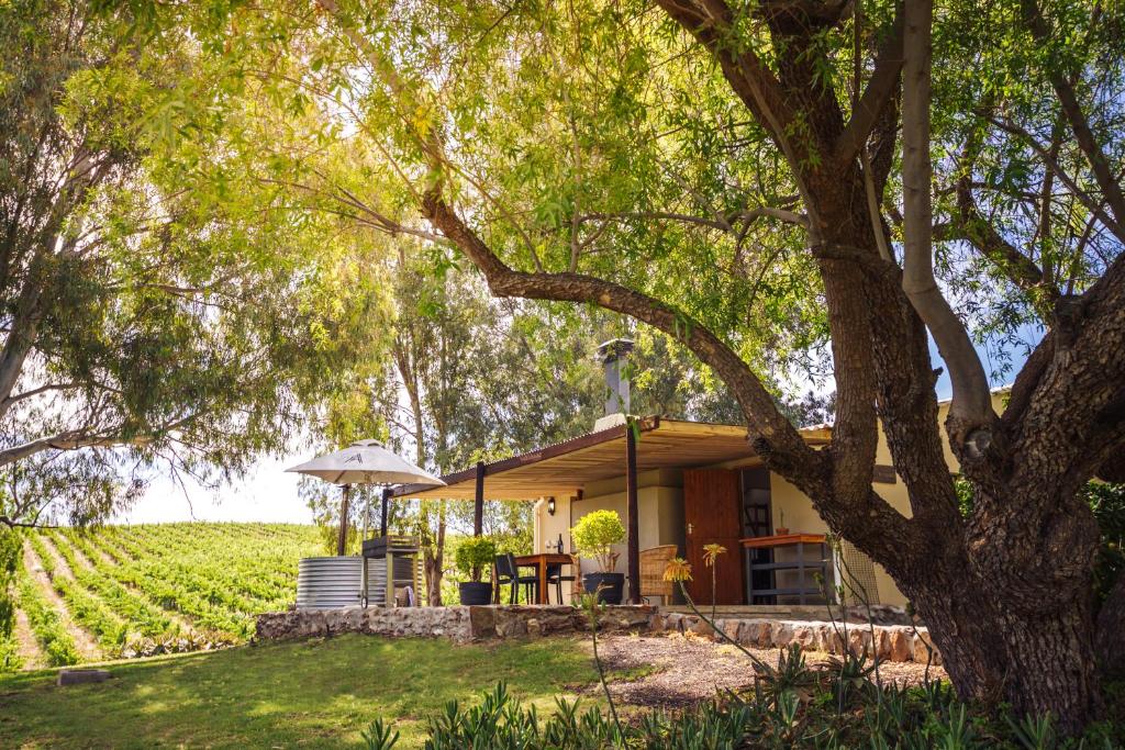 Arendsig Wine Estate & Cottages photo 1
