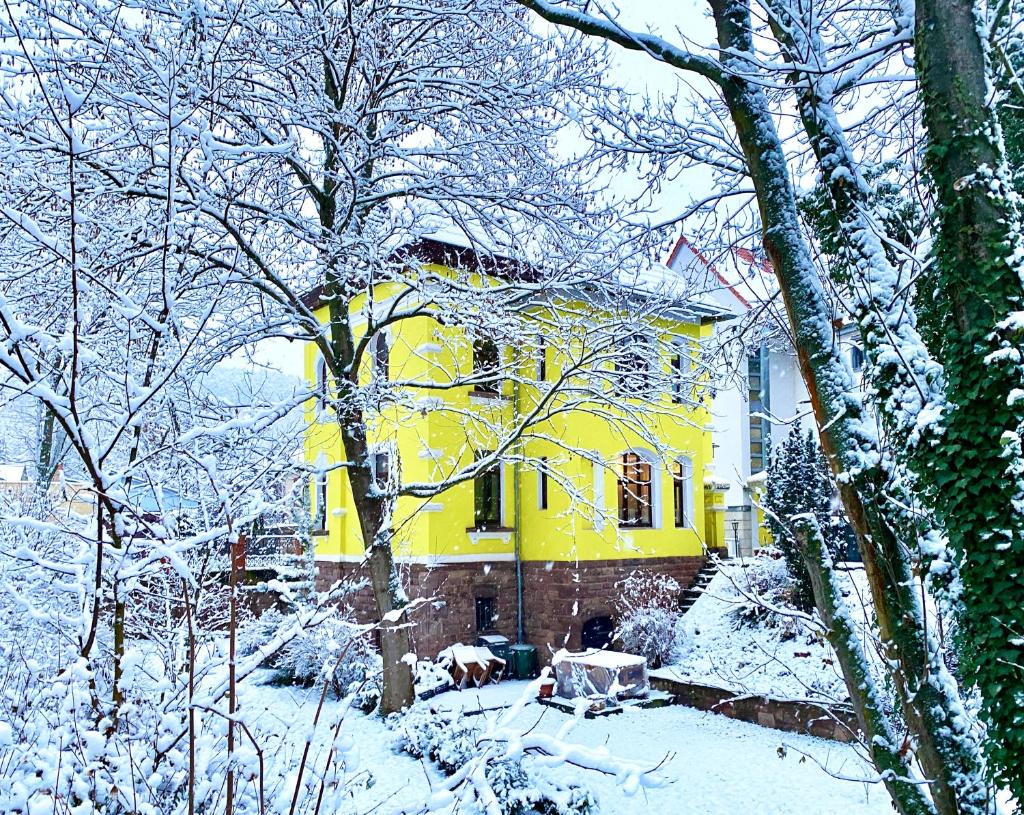 Zitronenhaus photo 1