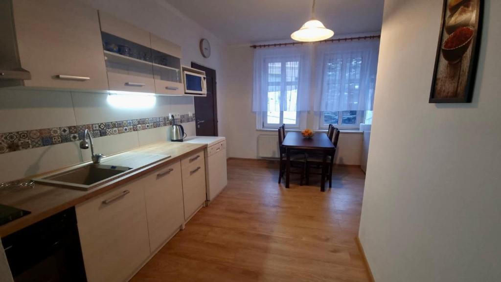 Apartmán v Krušných horách-free parking photo 4