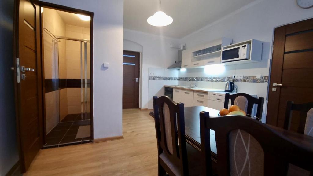 Apartmán v Krušných horách-free parking photo 2