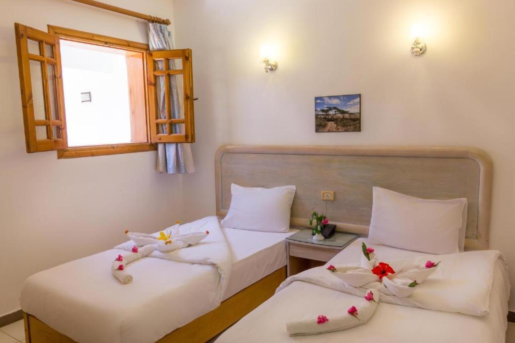 Acacia Dahab Hotel photo 2