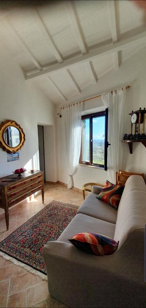 Aurinia photo 4