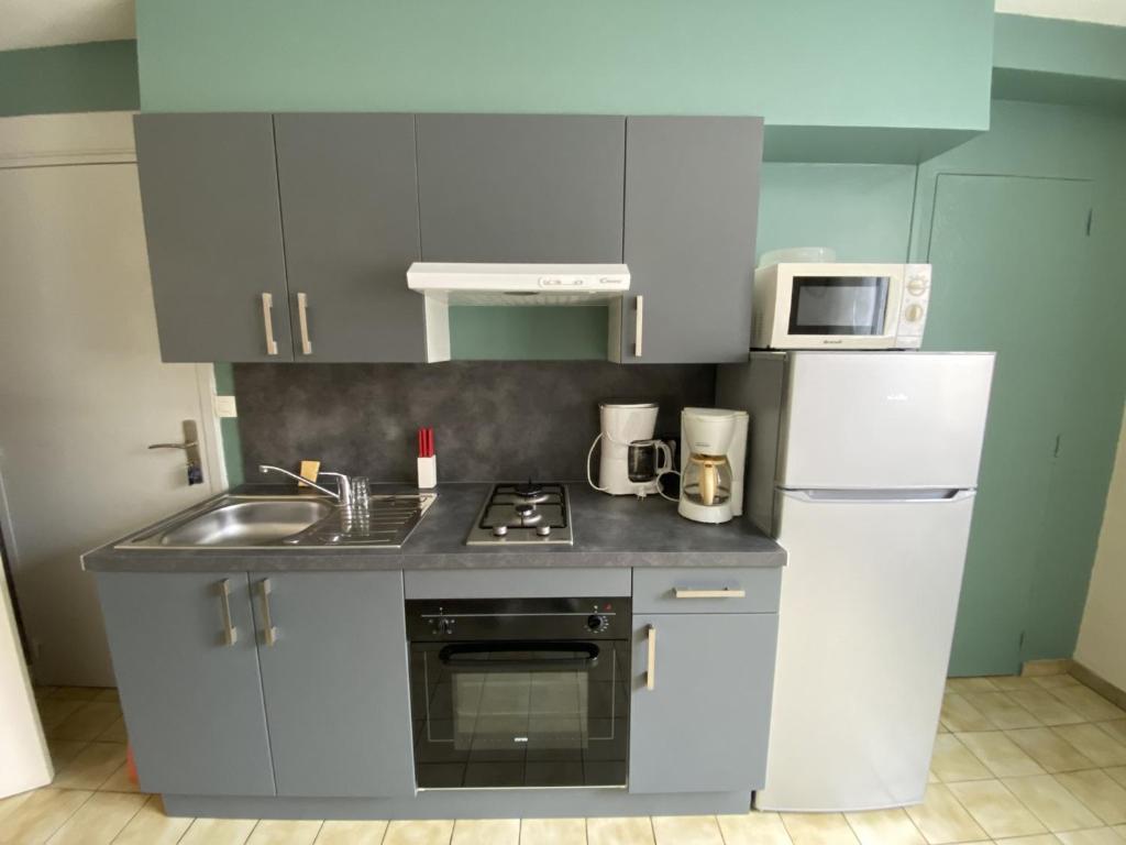 Appartement La Roche-Posay, 2 pièces, 4 personnes - FR-1-541-78 photo 3